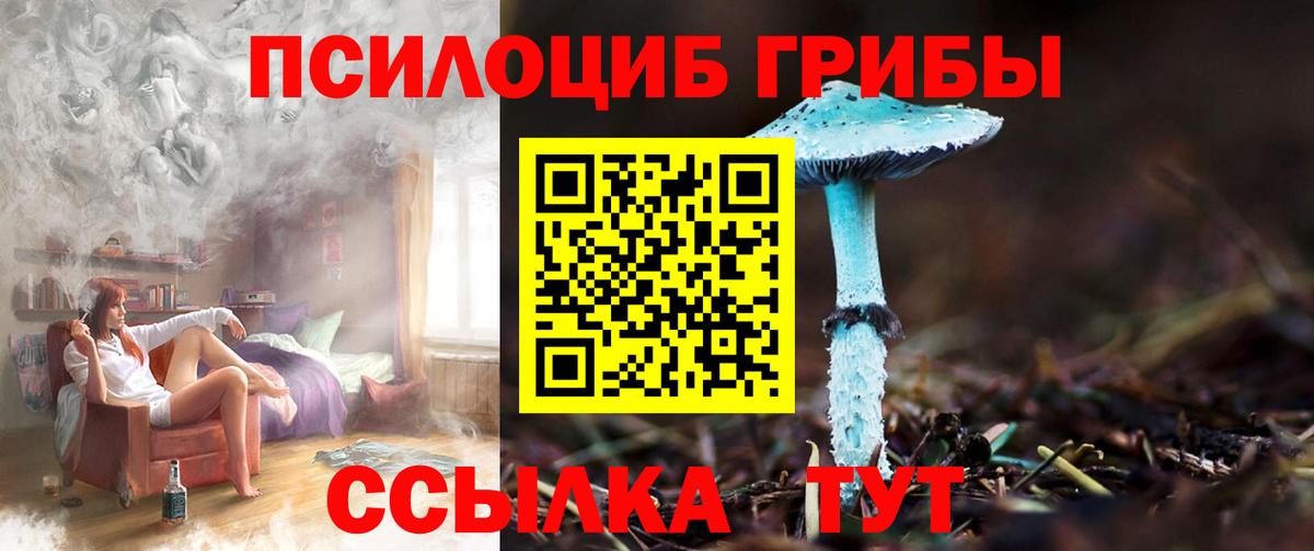Лениногорск  Псилоцибиновые грибы GOLDEN TEACHER  Вход с VPN 